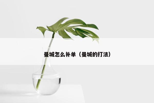 曼城怎么补单（曼城的打法）