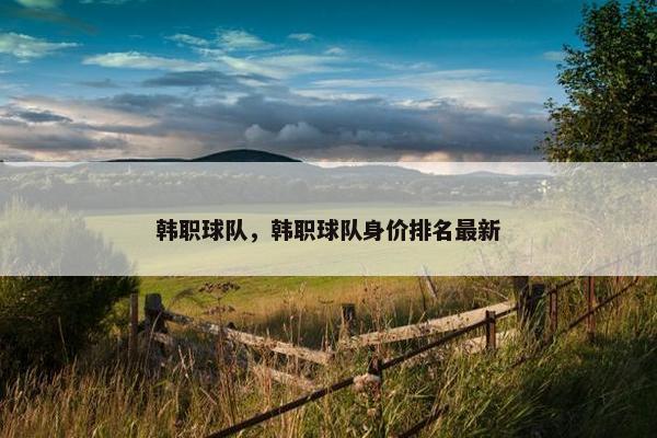 韩职球队，韩职球队身价排名最新