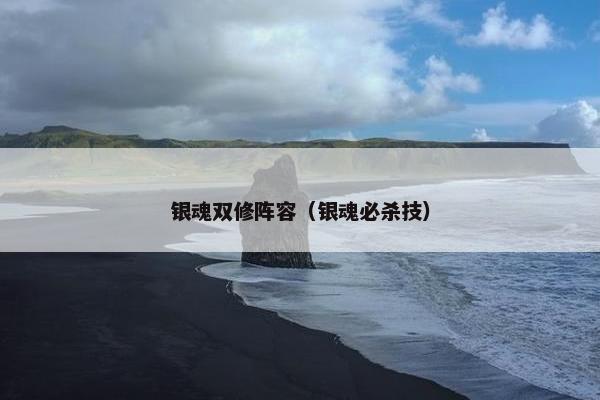 银魂双修阵容（银魂必杀技）