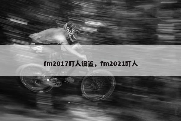 fm2017盯人设置，fm2021盯人