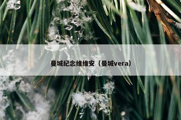 曼城纪念维维安（曼城vera）
