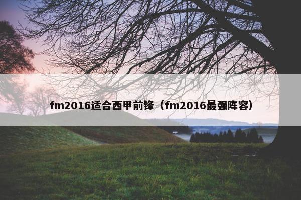 fm2016适合西甲前锋（fm2016最强阵容）