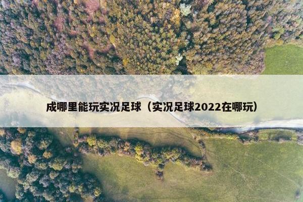 成哪里能玩实况足球（实况足球2022在哪玩）