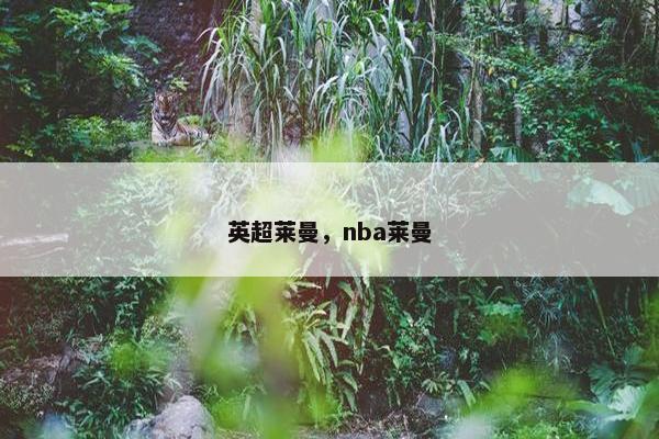 英超莱曼，nba莱曼