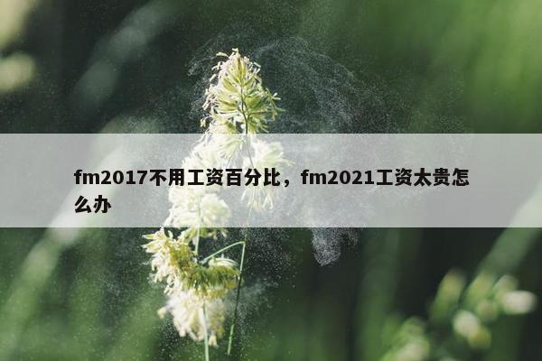 fm2017不用工资百分比，fm2021工资太贵怎么办
