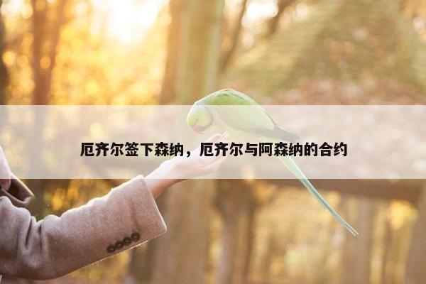 厄齐尔签下森纳，厄齐尔与阿森纳的合约