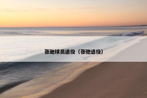 张驰球员退役（张弛退役）