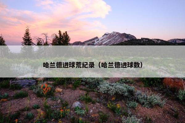 哈兰德进球荒纪录（哈兰德进球数）
