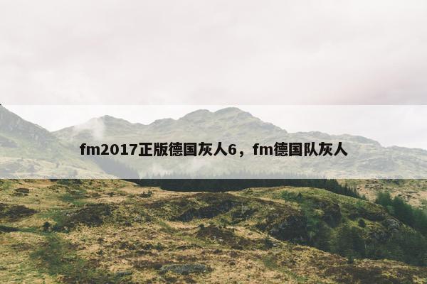 fm2017正版德国灰人6，fm德国队灰人