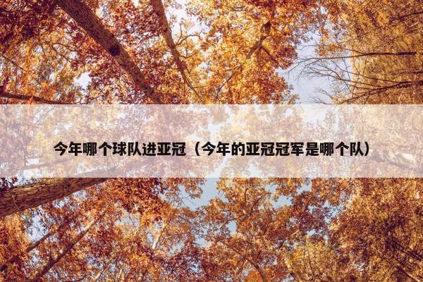 今年哪个球队进亚冠（今年的亚冠冠军是哪个队）