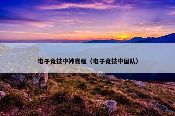 电子竞技中韩赛程（电子竞技中国队）