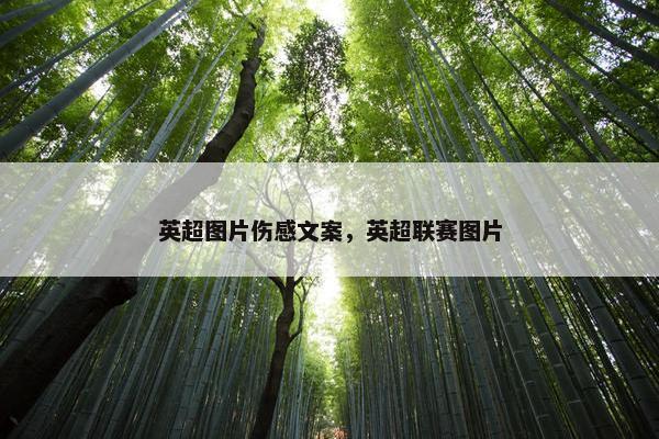 英超图片伤感文案，英超联赛图片