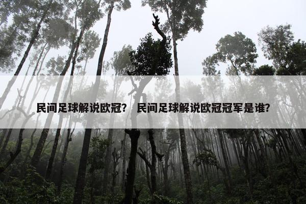 民间足球解说欧冠？ 民间足球解说欧冠冠军是谁？