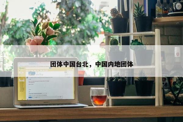 团体中国台北，中国内地团体
