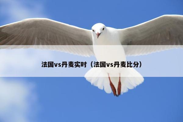 法国vs丹麦实时（法国vs丹麦比分）