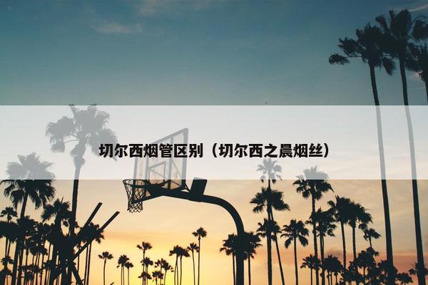 切尔西烟管区别（切尔西之晨烟丝）