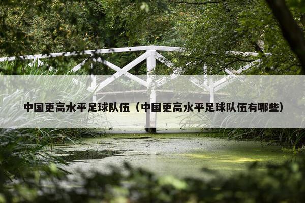 中国更高水平足球队伍（中国更高水平足球队伍有哪些）