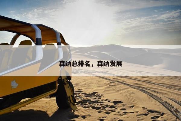 森纳总排名，森纳发展