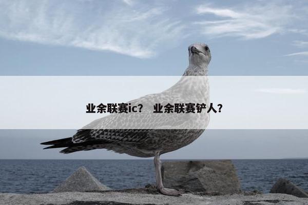 业余联赛ic？ 业余联赛铲人？