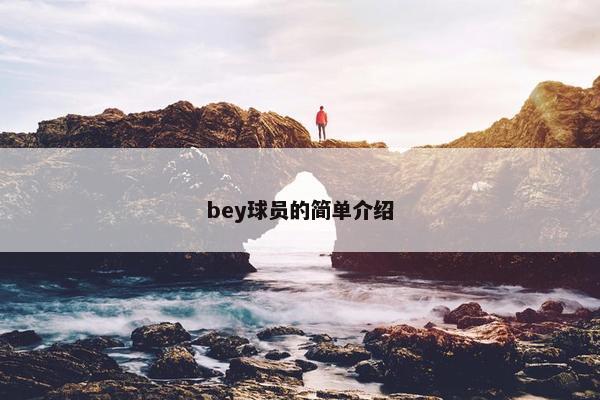 bey球员的简单介绍