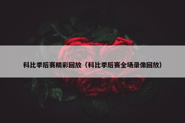 科比季后赛精彩回放（科比季后赛全场录像回放）