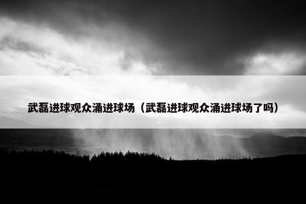 武磊进球观众涌进球场（武磊进球观众涌进球场了吗）