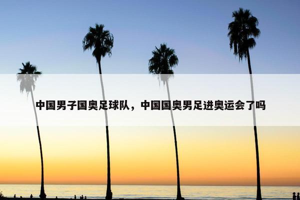 中国男子国奥足球队，中国国奥男足进奥运会了吗