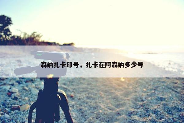 森纳扎卡印号，扎卡在阿森纳多少号
