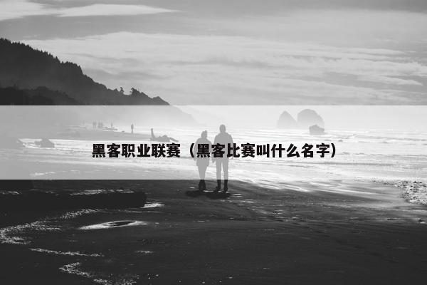 黑客职业联赛（黑客比赛叫什么名字）