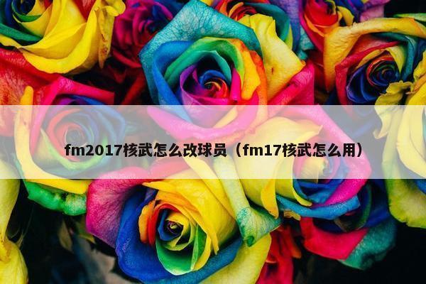 fm2017核武怎么改球员（fm17核武怎么用）