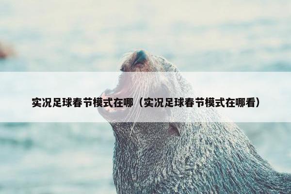 实况足球春节模式在哪（实况足球春节模式在哪看）