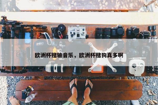 欧洲杯赌输音乐，欧洲杯赌狗真多啊