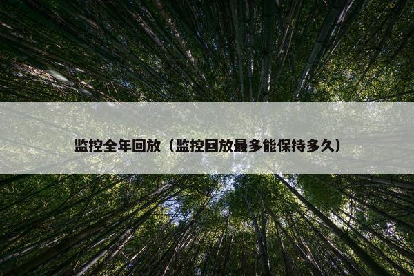 监控全年回放（监控回放最多能保持多久）
