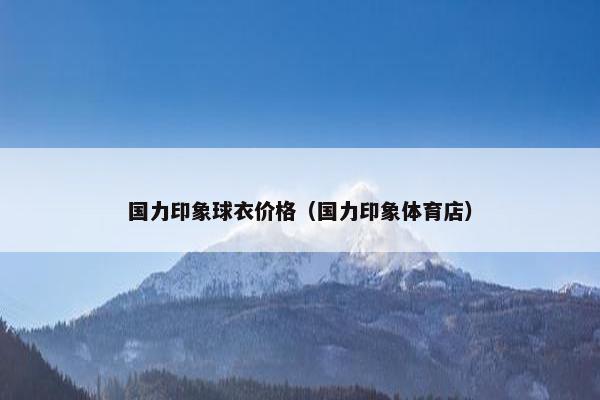 国力印象球衣价格（国力印象体育店）