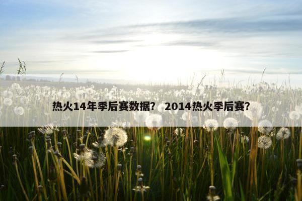 热火14年季后赛数据？ 2014热火季后赛？