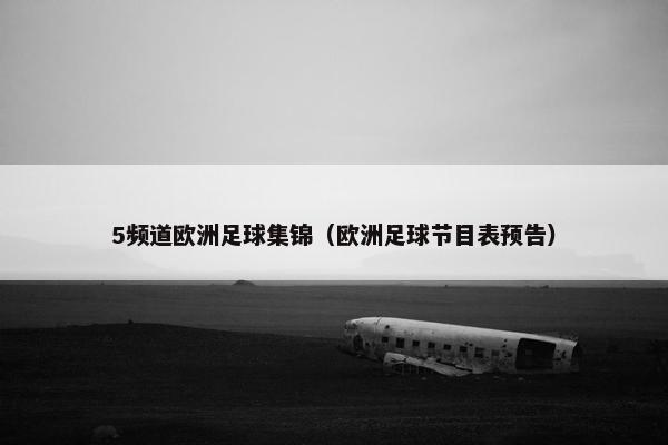 5频道欧洲足球集锦（欧洲足球节目表预告）