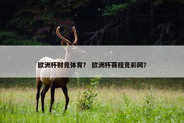 欧洲杯财竞体育？ 欧洲杯赛程竞彩网？