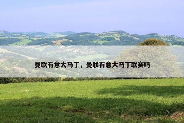 曼联有意大马丁，曼联有意大马丁联赛吗