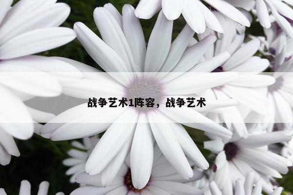 战争艺术1阵容，战争艺术