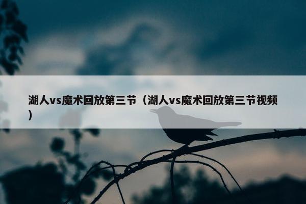湖人vs魔术回放第三节（湖人vs魔术回放第三节视频）