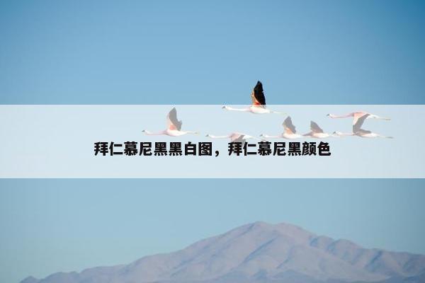 拜仁慕尼黑黑白图，拜仁慕尼黑颜色