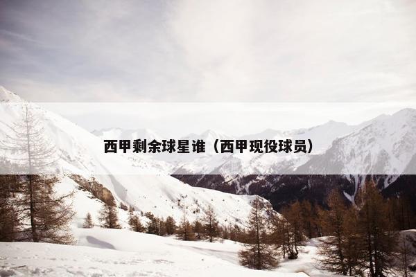 西甲剩余球星谁（西甲现役球员）