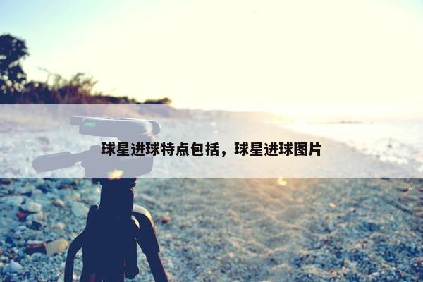 球星进球特点包括，球星进球图片