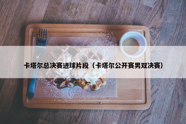卡塔尔总决赛进球片段（卡塔尔公开赛男双决赛）