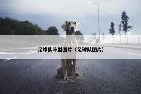 足球队阵型图片（足球队图片）