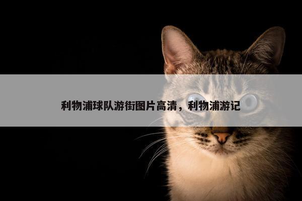 利物浦球队游街图片高清，利物浦游记
