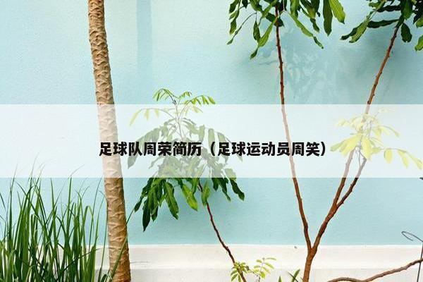 足球队周荣简历（足球运动员周笑）