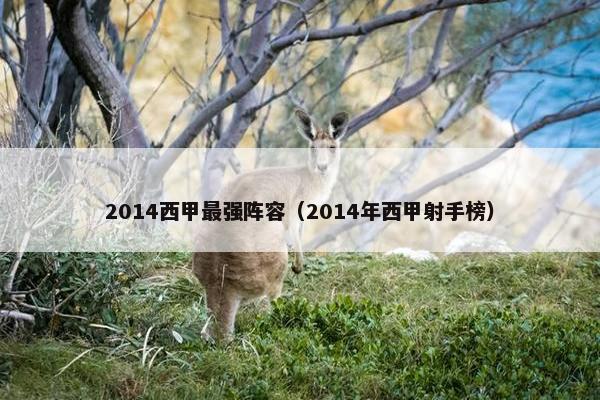 2014西甲最强阵容（2014年西甲射手榜）