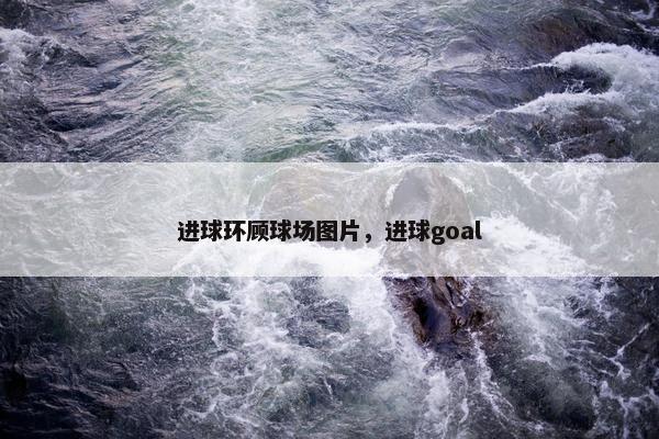 进球环顾球场图片，进球goal