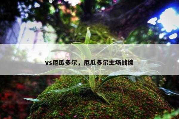 vs厄瓜多尔，厄瓜多尔主场战绩